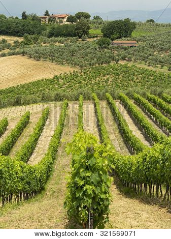 Rural Landscape Along The Road From Certaldo To Gambassi Terme, Florence, Tuscany, Italy, At Summer