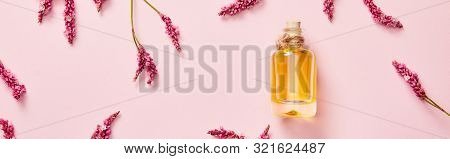Panoramic Shot Of Bottle With Oil On Pink Background With Fresh Wildflowers