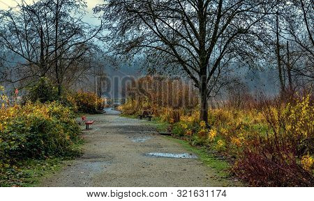 Late Autumn, Autumn Landscape In Barnaby Lake Park, A Bench Under Overhanging Tree Branches With Fal