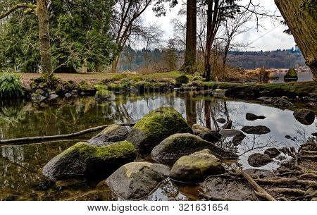 The Late Fall, Cloudy Autumn Day In The Park, Reflection Of Trees With Fallen Leaves On The Surface 