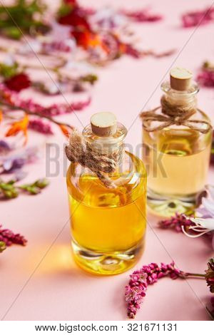 Close Up View Of Bottles With Oil Near Fresh Wild Flowers On Pink Background