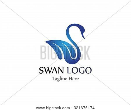 Swan Logo Simple Icon Template Vector Illustration Creative Design