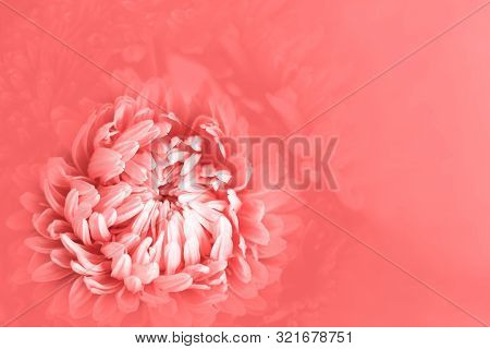 Background In Soft And Blurred Style. Sprind, Mothers Day, Womens Day And Wedding Concept. Selective