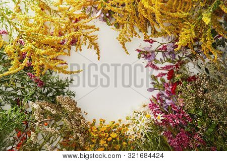 Top View Of Bunches Of Wildflowers On White Background With Copy Space