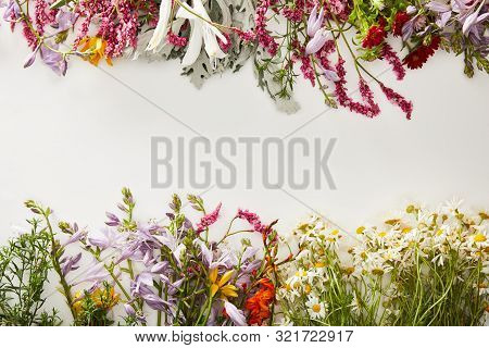 Top View Of Fresh Wildflowers On White Background