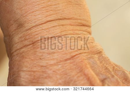 Senior Woman's Wrinkled Wrist Of The Arm, Close Up & Macro Shot, Selective Focus, Asian Body Skin Pa