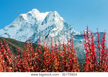 아마 노 Dablam