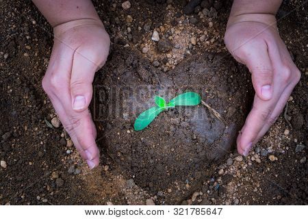 Close Up Hand Planting Tree Into The Heart Shape Soil. Earth Day. World Environment Day. Ozone Day.
