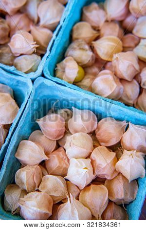 Baskets Of Harvested Ground Cherries Or Husk Berries At Local Organic Farmers Market