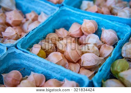 Baskets Of Harvested Ground Cherries Or Husk Berries At Local Organic Farmers Market