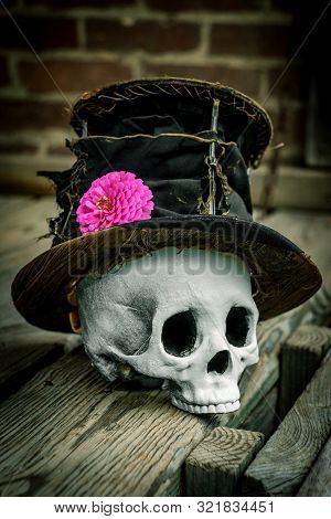 Scary Jawless Halloween Skull Wearing Old Distressed Top Hat
