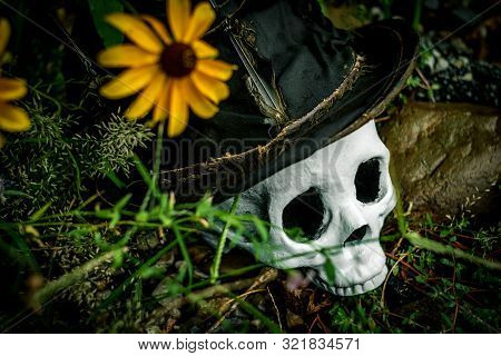 Scary Jawless Halloween Skull Wearing Old Distressed Top Hat