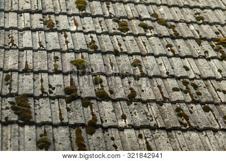 Old Tiled Roof Covered With Green Moss