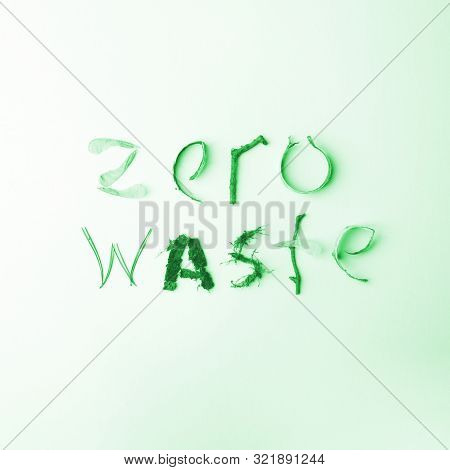 Zero Waste Natural Organic Text From Forest Deteails, Eco-friendly, Ecology Lettering, Conceptual Mi