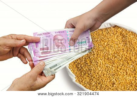 Hand Giving Indian 500 And 2000 Rupee Bank Notes Over Bag, Burlap Full Of Chickpeas, Yellow Chana Sp