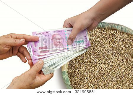 Hand Giving Indian 500 And 2000 Rupee Bank Notes Over Bag, Burlap Full Of Dried Coriander Seeds Or D