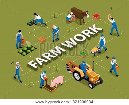 Farm Work Agricultural Duties Tools Machinery Isometric Flowchart With Milking Cow Feeding Pig Harro