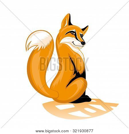 Sly Orange Fox On A White Background.