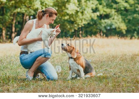 Pet Owner Kneeling Hoding Her Cat And Training Her Dog