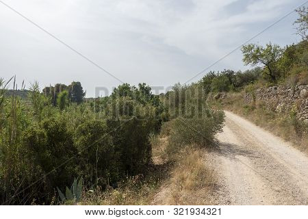 The August Road As It Passes Through The Senia