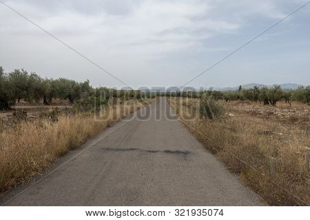 The August Road As It Passes Through The Senia