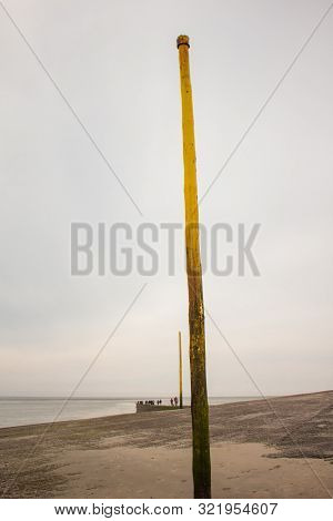 A Pretty Yellow Pole In Seaside Winter