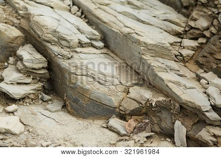 Small Pebbles On A Background Of Rough Rock