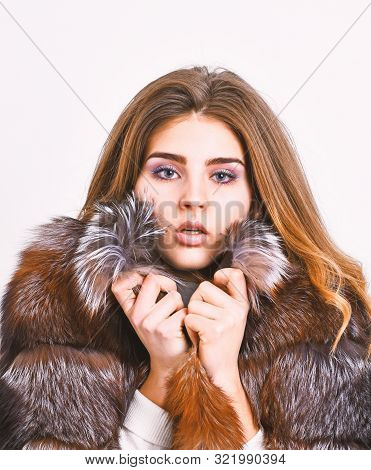 Woman Makeup And Hairstyle Posing Mink Or Sable Fur Coat. Winter Elite Luxury Clothes. Female Brown 