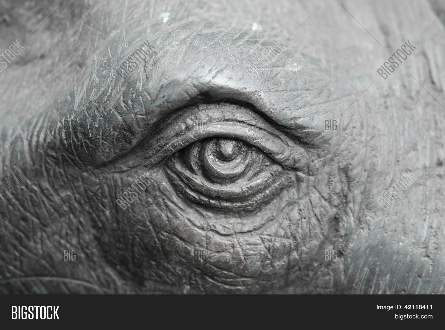Elephant Eye Closeup Image & Photo (Free Trial) Bigstock
