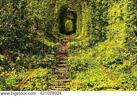 Scenic Nature Landscape View Of Old Railway Passes Through Natural Tunnel Formed By Trees. Famous Tu