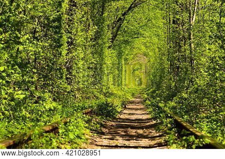 Tunnel Of Love Is Famous Touristic Place And Romantic Travel Destination. Unique Place Where The Rai
