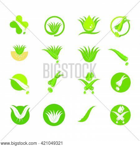 Aloevera Logo Icon Vector Illustration Design