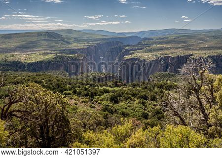 Green Trees Line The Dropoff Into Black Canyon Of The Gunnison