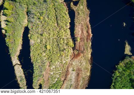 Aerial View Of River Floodplan And Green Forest In Summer Day. Bird Eye View Of Beautiful Nature Lan