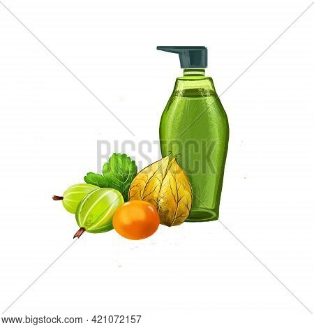 Amla - Gooseberry Ayurvedic Herb Digital Art Illustration Isolated On White. Alma Gel Cream Cosmetic