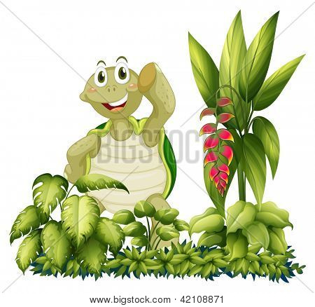 Illustration af en skildpadde stående med planter på en hvid baggrund