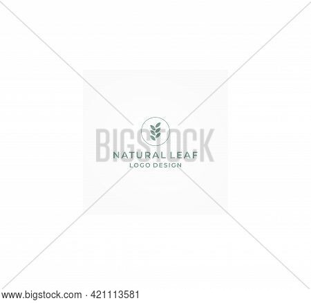 Modern, Simple And Elegant Logo About Leaves.
Eps 10, Vector.