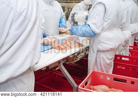 Production Line With Packaging And Cutting Of Meat.people Working At A Chicken Factory - Stock Photo