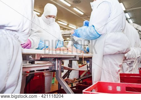 Production Line With Packaging And Cutting Of Meat.people Working At A Chicken Factory - Stock Photo