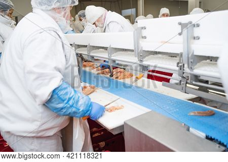 Production Line With Packaging And Cutting Of Meat.people Working At A Chicken Factory - Stock Photo