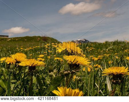 Italian Northern Mountain Landscape Near Verona Lessini