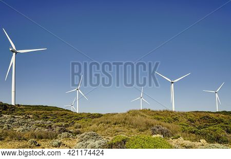 Country View Of Grasslands And Wind Farm At Cape Bridgewater