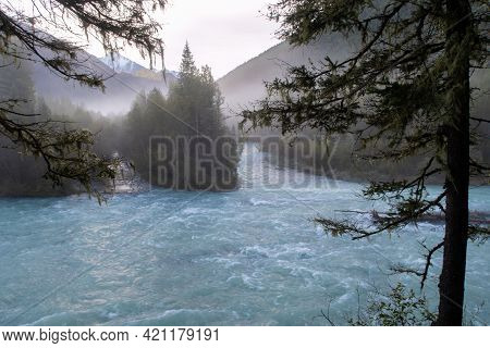 Foggy Turquoise Kucherla Mountain Glacier River In The Forest. Belukha Park, Altai Republic, Siberia