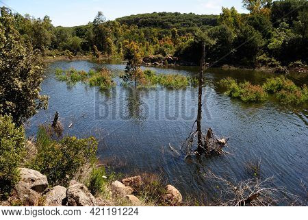 View Of Baratz Lake, The Only Natural In Sardinia