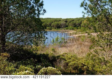 View Of Baratz Lake, The Only Natural In Sardinia