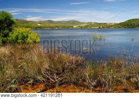 View Of Baratz Lake, The Only Natural In Sardinia