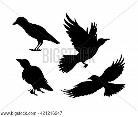 Cartoon Set Of Black Halloween Holiday Silhouette Elements Of Crows Isolated On White Background. Bl