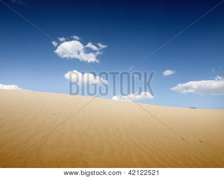 paesaggio del deserto