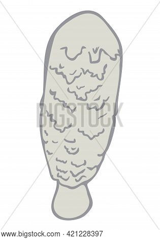 Vector Illustration Of Coprinus Comatus. The Shaggy Ink Cap.