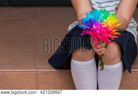 Colorful Chrysanthemum Flower Macro Shot In Hand. Chrysanthemum Rainbow Flower Background.